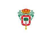 Bandera de Almazán