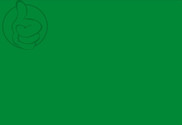 Bandera de Libia (1977-2011)