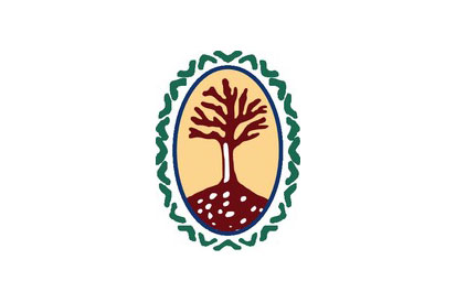 Bandera Vinebre