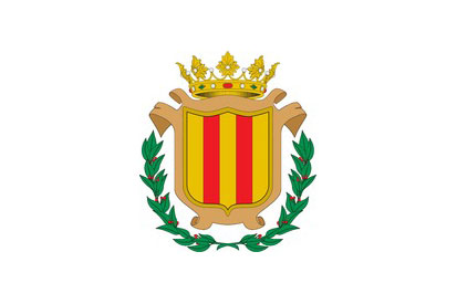 Bandera Puebla de San Miguel