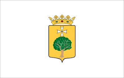 Bandera Fresno el Viejo