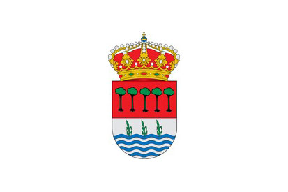 Bandera Laguna de Duero