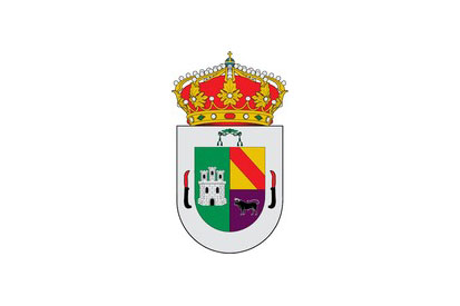 Bandera Palazuelo de Vedija