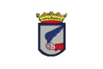 Bandera Villalón de Campos