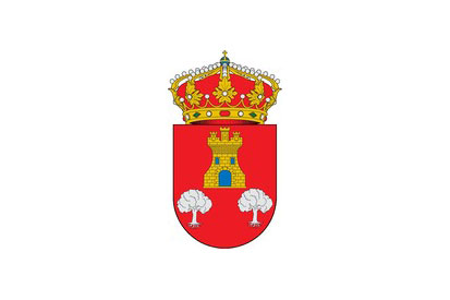 Bandera Villanubla