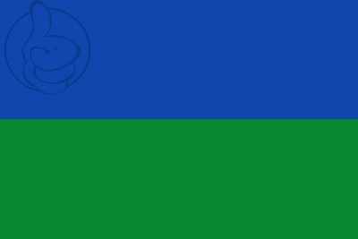 Bandera Villanueva de la Cañada