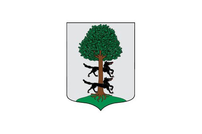 Bandera Ubide