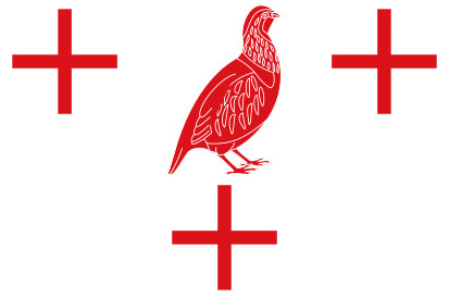 Bandera Perdigón, El