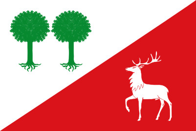 Bandera Robleda-Cervantes