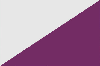 Bandera Torregamones