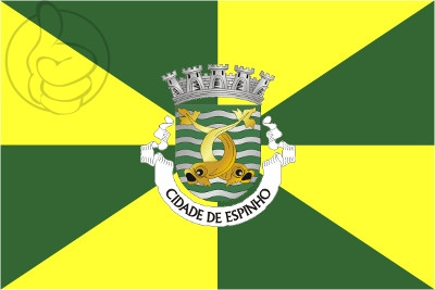 Bandera Espinho