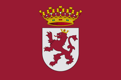 Bandera Región de León