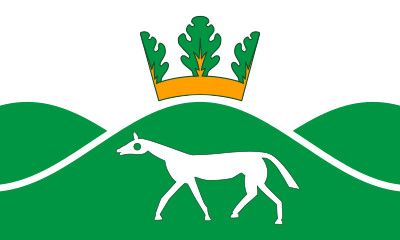 Bandera Pewsey