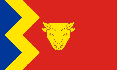 Bandera Birmingham
