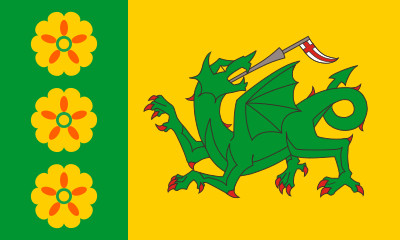 Bandera Evenley