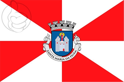 Bandera Santa Maria da Feira
