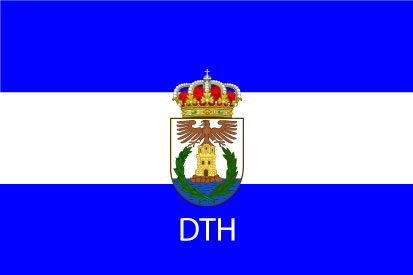 Bandera Aguilas personalizada