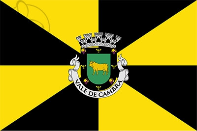 Bandera Vale de Cambra