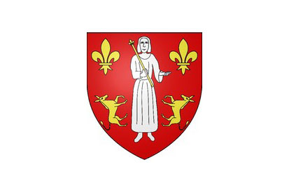 Bandera Asnières-sur-Oise