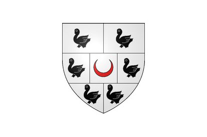 Bandera Ferrières-en-Brie