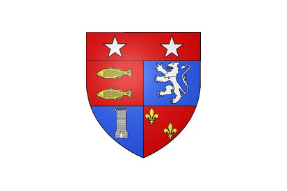 Bandera Vallenay