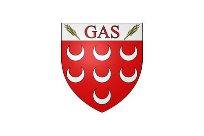 Bandera Gas