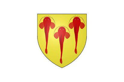 Bandera Écueillé