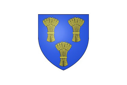 Bandera Chaumes-en-Brie