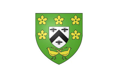 Bandera Salbris