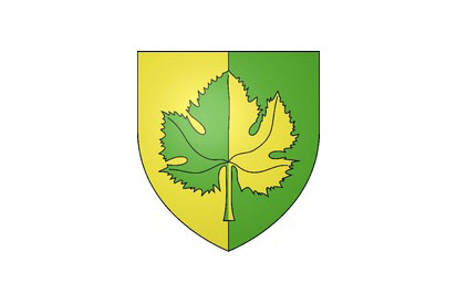 Bandera Saint-Denis-en-Val