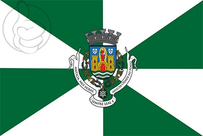 Bandera Oporto