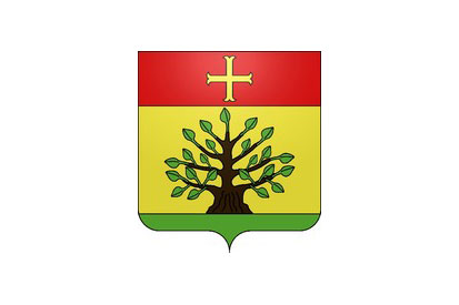 Bandera Veilly