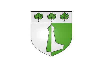 Bandera Miserey-Salines