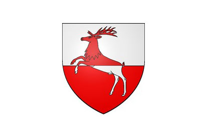 Bandera Servance