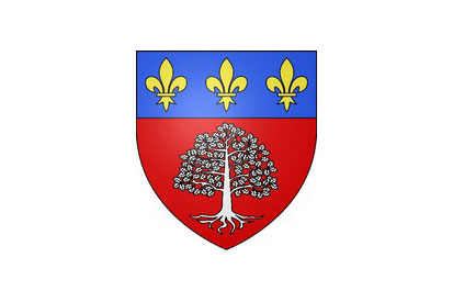 Bandera Saint-Léger-en-Yvelines