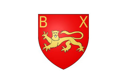 Bandera Bayeux