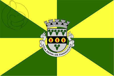 Bandera Vila Nova de Famalicão