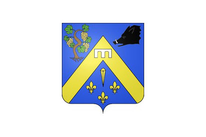 Bandera Féricy