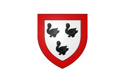 Bandera Sainte-Geneviève-lès-Gasny