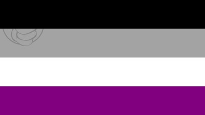 Bandera Asexualidad