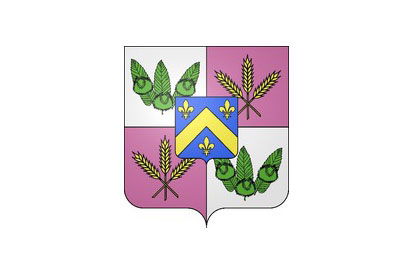 Bandera Champcueil