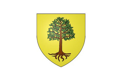 Bandera Aulnay-sous-Bois