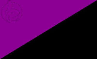 Bandera Anarquismo Feminista