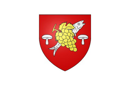 Bandera Noyers-sur-Cher