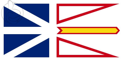 Bandera Terranova y Labrador