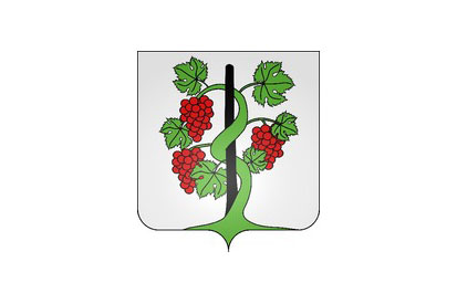 Bandera Vignoles