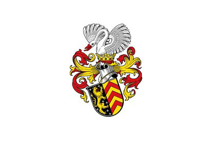 Bandera Hanau