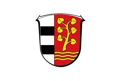 Bandera Brachttal