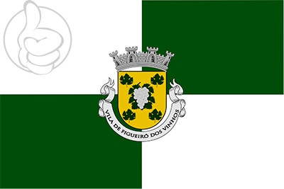 Bandera Figueiró dos Vinhos