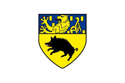 Bandera Netphen